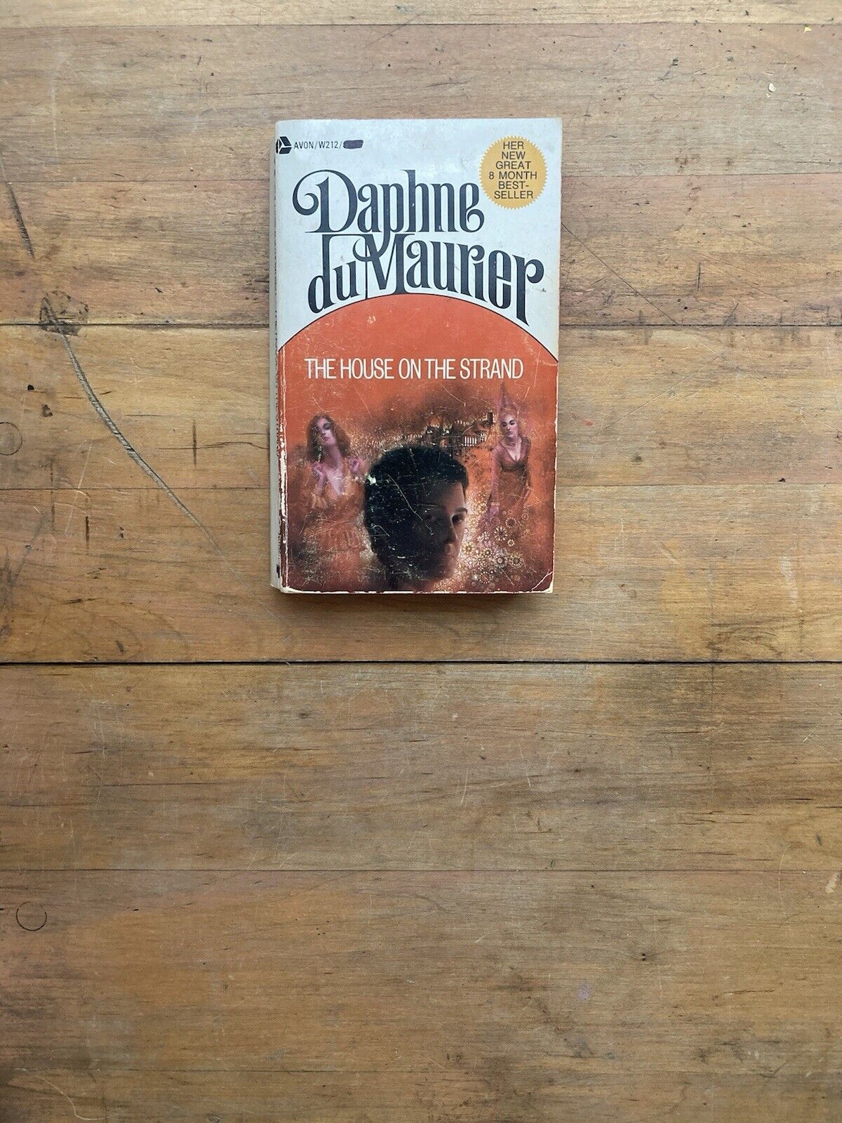 The House on the Strand by Daphne du Maurier. Avon Books. 1970.