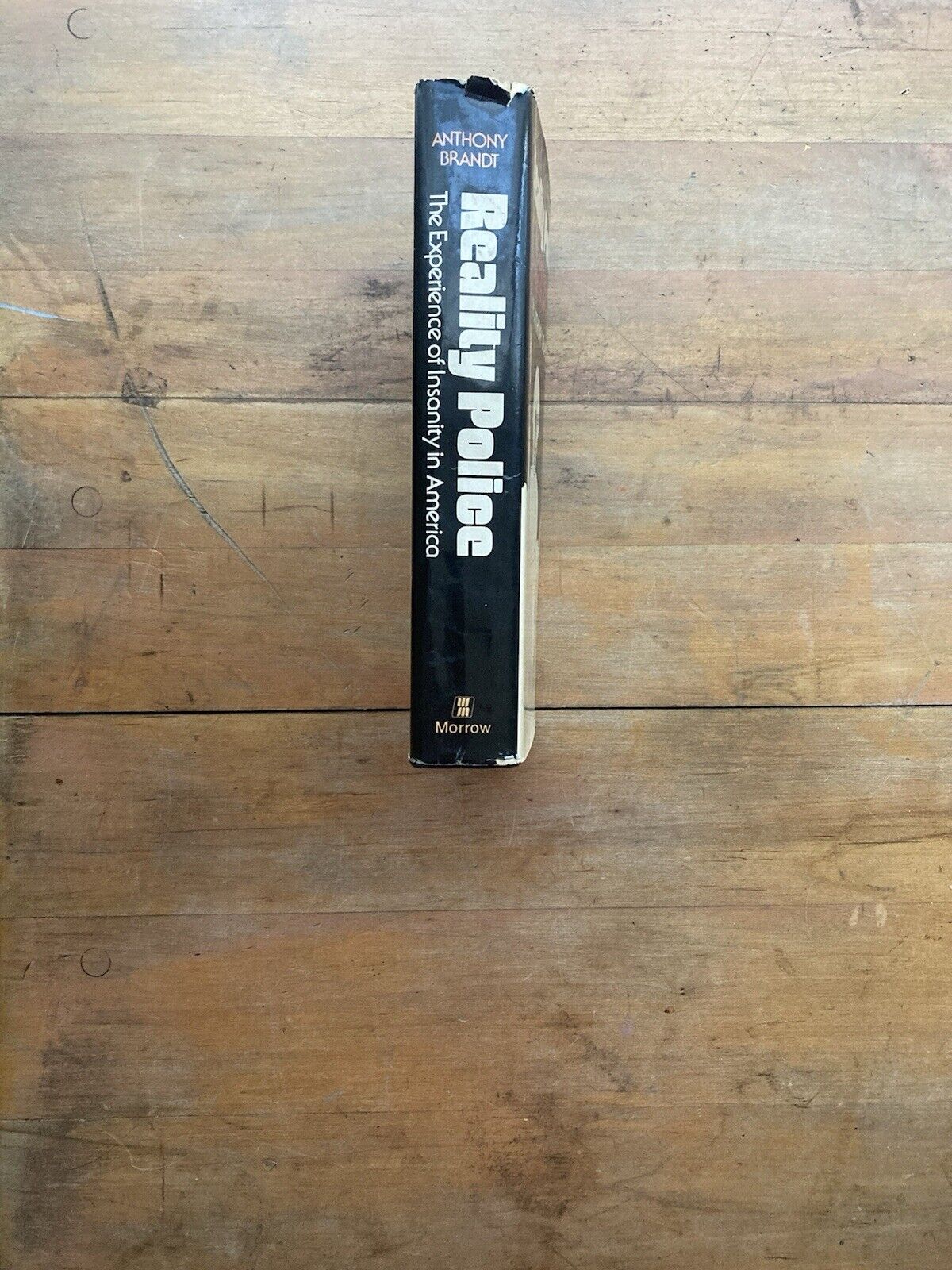 Reality Police: The Experience of Insanity in America by Anthony Brandt.