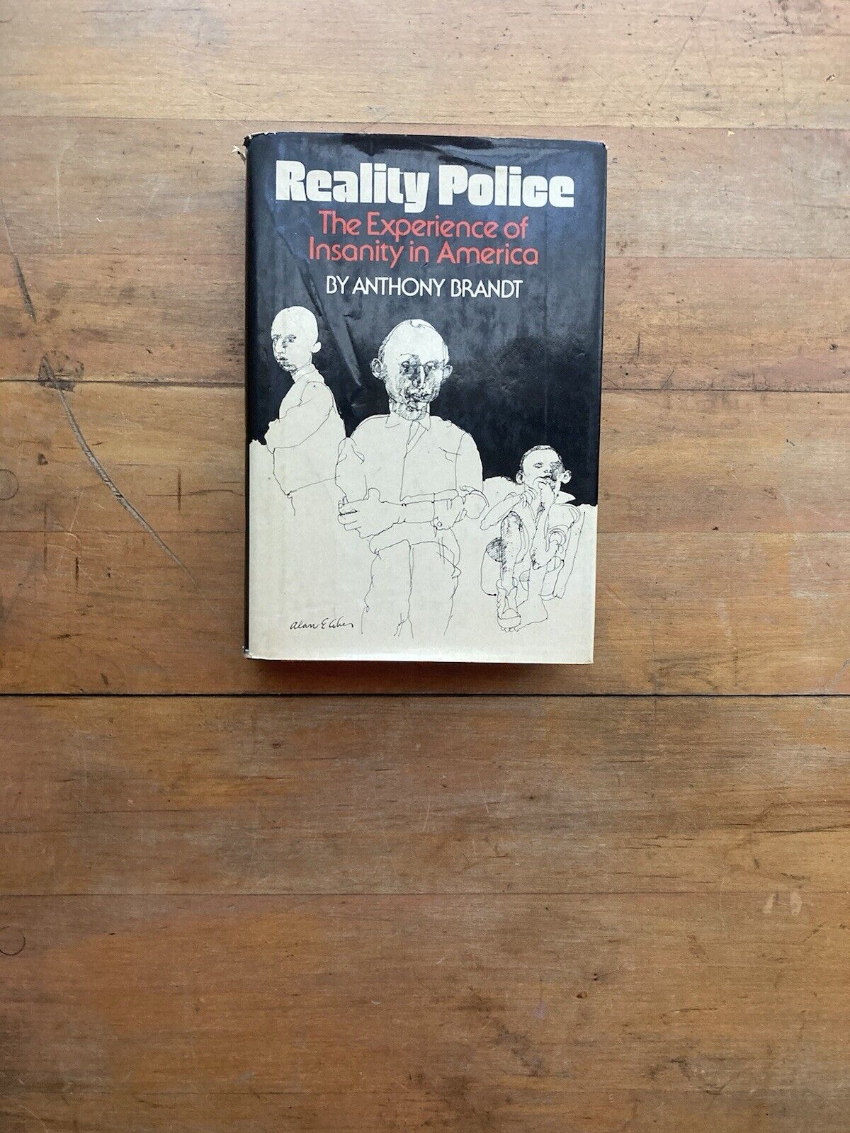 Reality Police: The Experience of Insanity in America by Anthony Brandt.