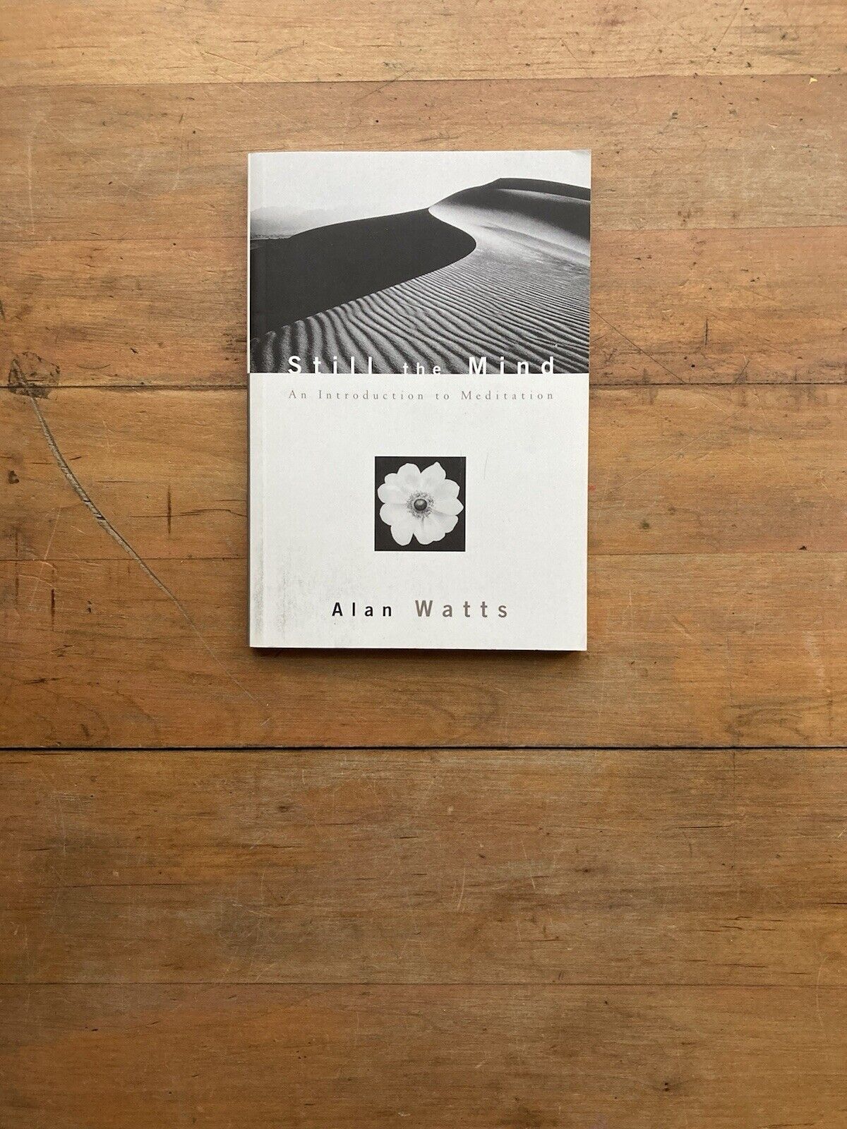 Still the Mind: An Introduction to Meditation by Alan W. Watts.