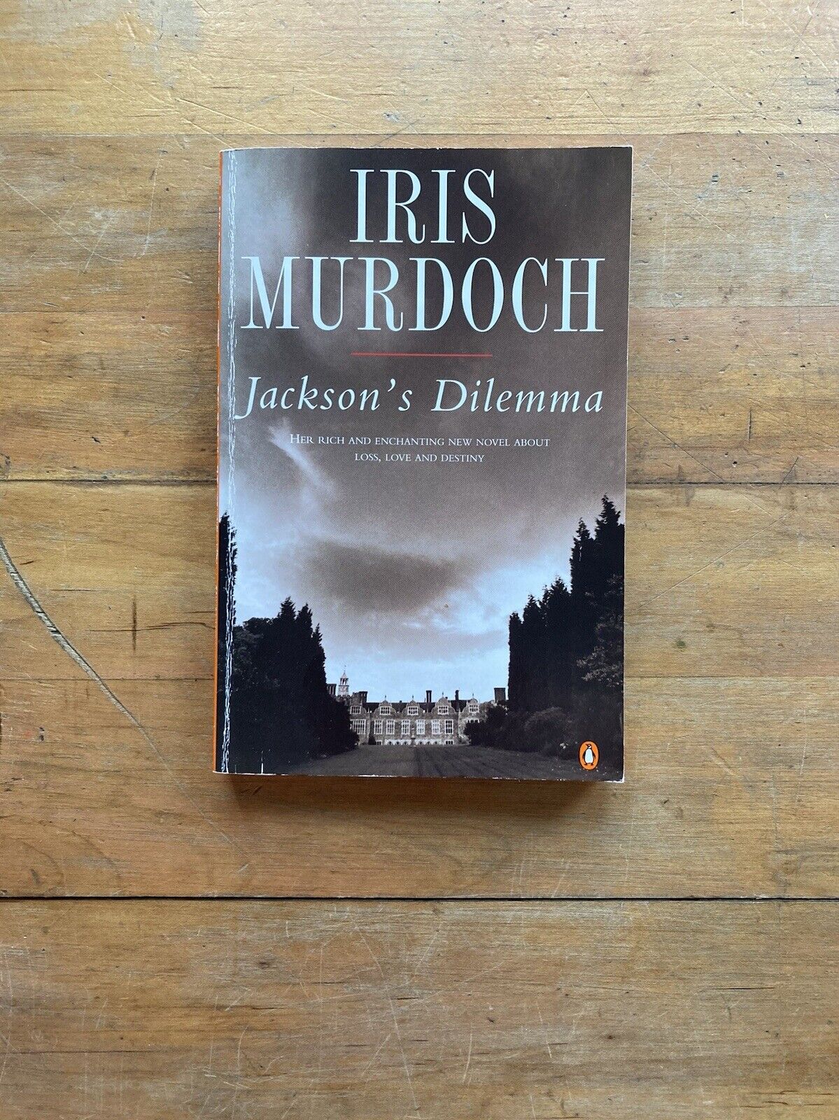 Jackson’s Dilemma by Iris Murdoch. Penguin Books. Printed in England. 1996.