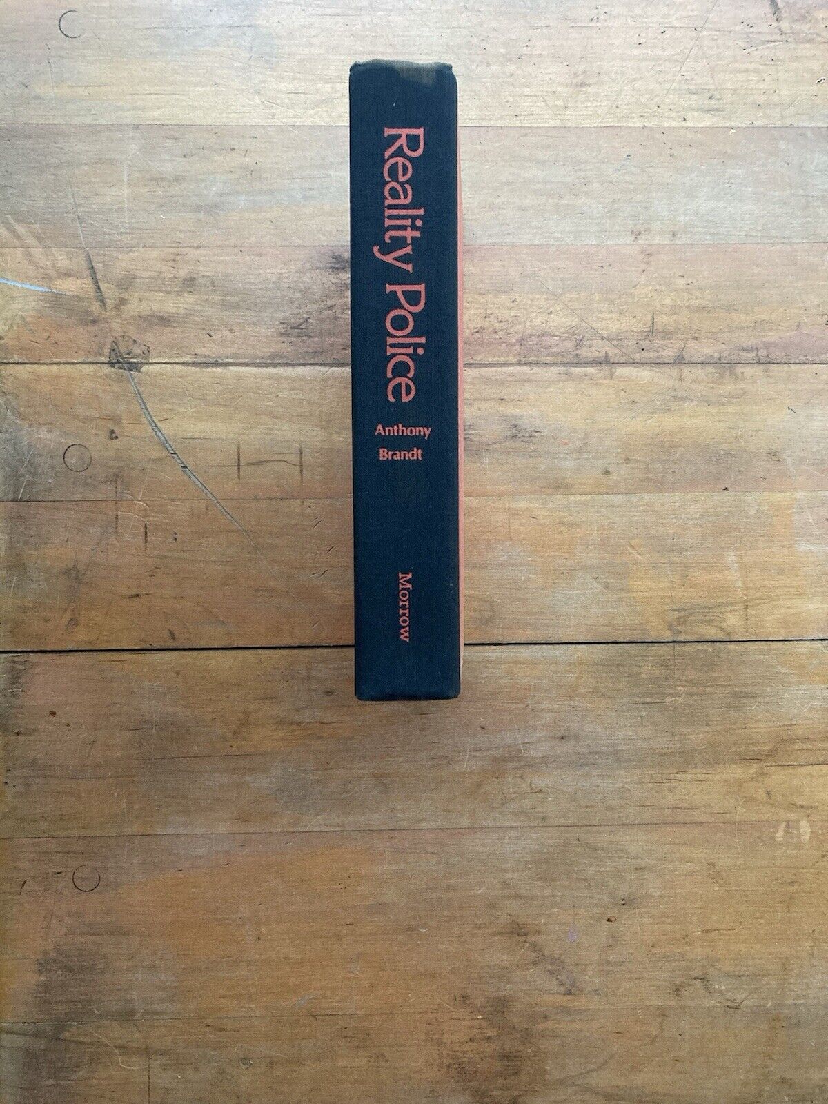 Reality Police: The Experience of Insanity in America by Anthony Brandt.