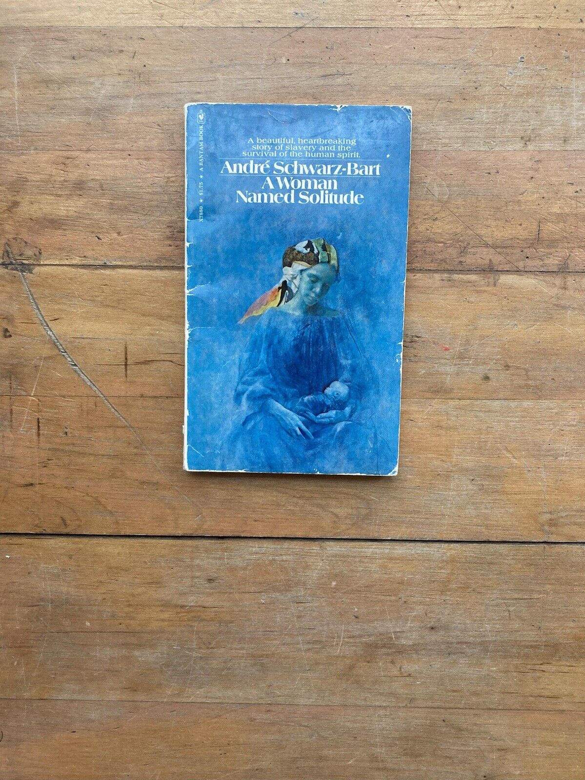 A Woman Named Solitude by André Schwarz-Bart. Bantam Books. 1974.
