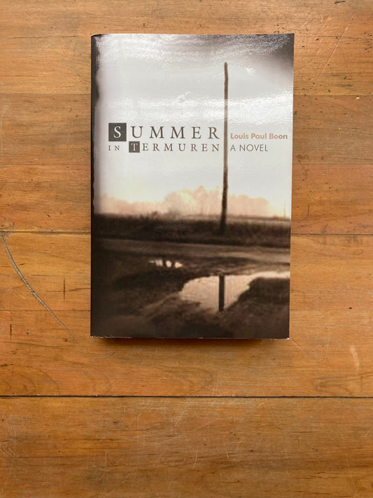 Summer in Termuren by Louis Paul Boon. Dalkey Archive Press. 2006.