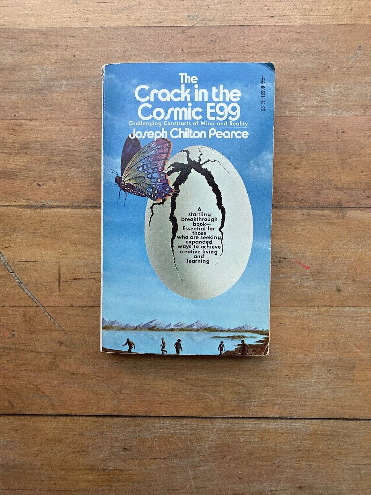 The Crack in the Cosmic Egg by Joseph Chilton Pearce. Pocket Books. 1976.