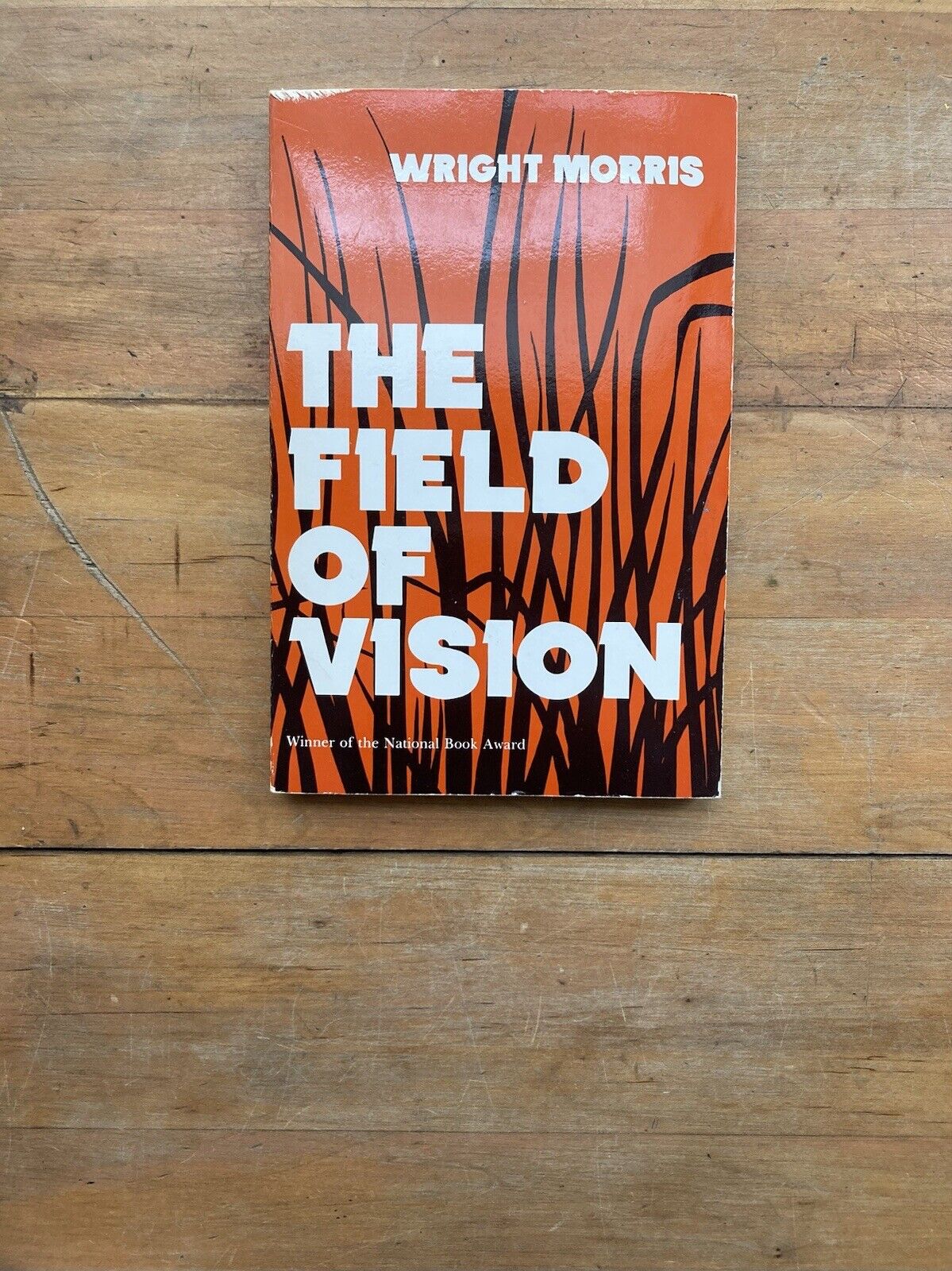 The Field of Vision by Wright Morris. Bison Books. 3rd printing.