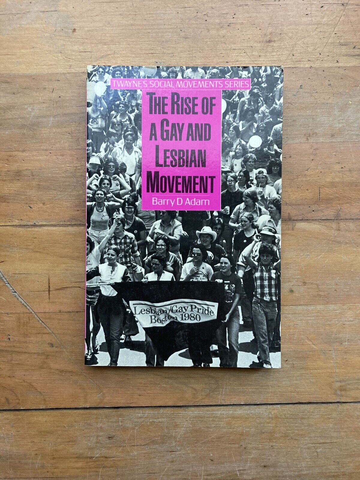 The Rise of a Gay and Lesbian Movement Barry D Adam 1987 LGBTQ