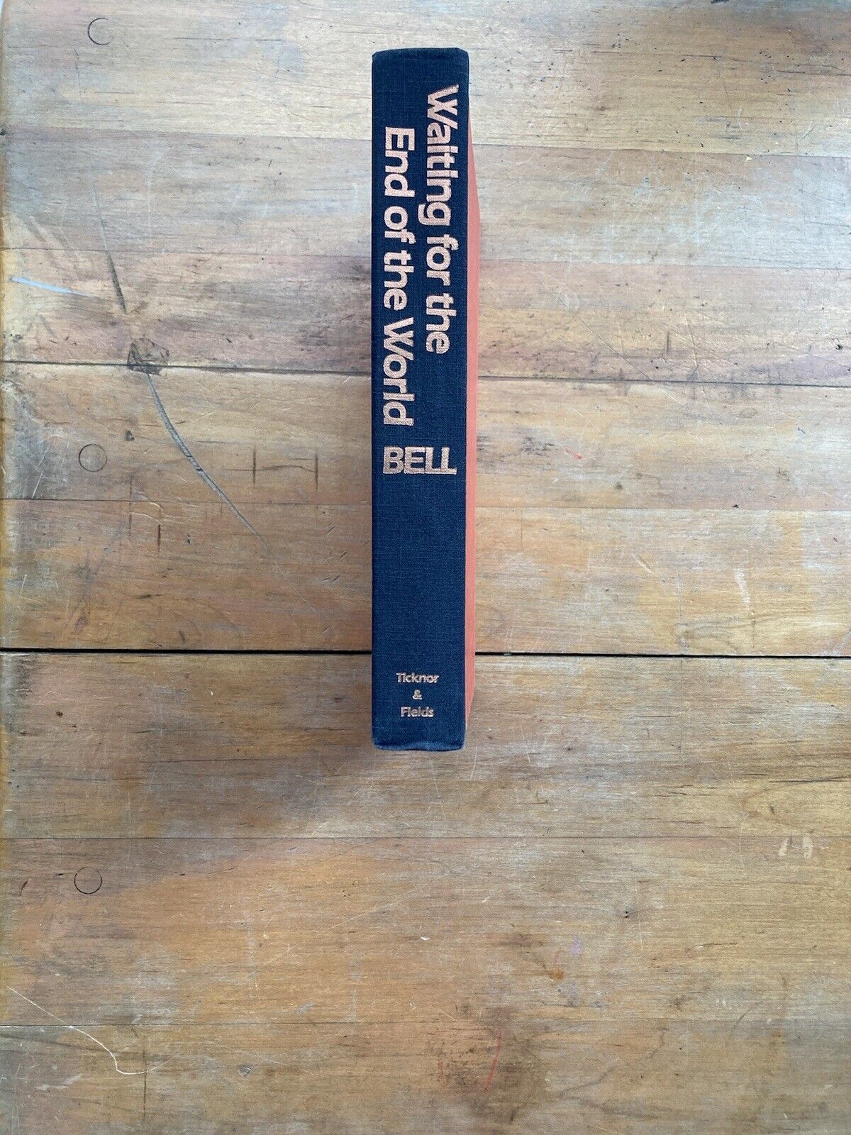 Waiting for the End of the World by Madison Smartt Bell. Ticknor & Fields. 1985.