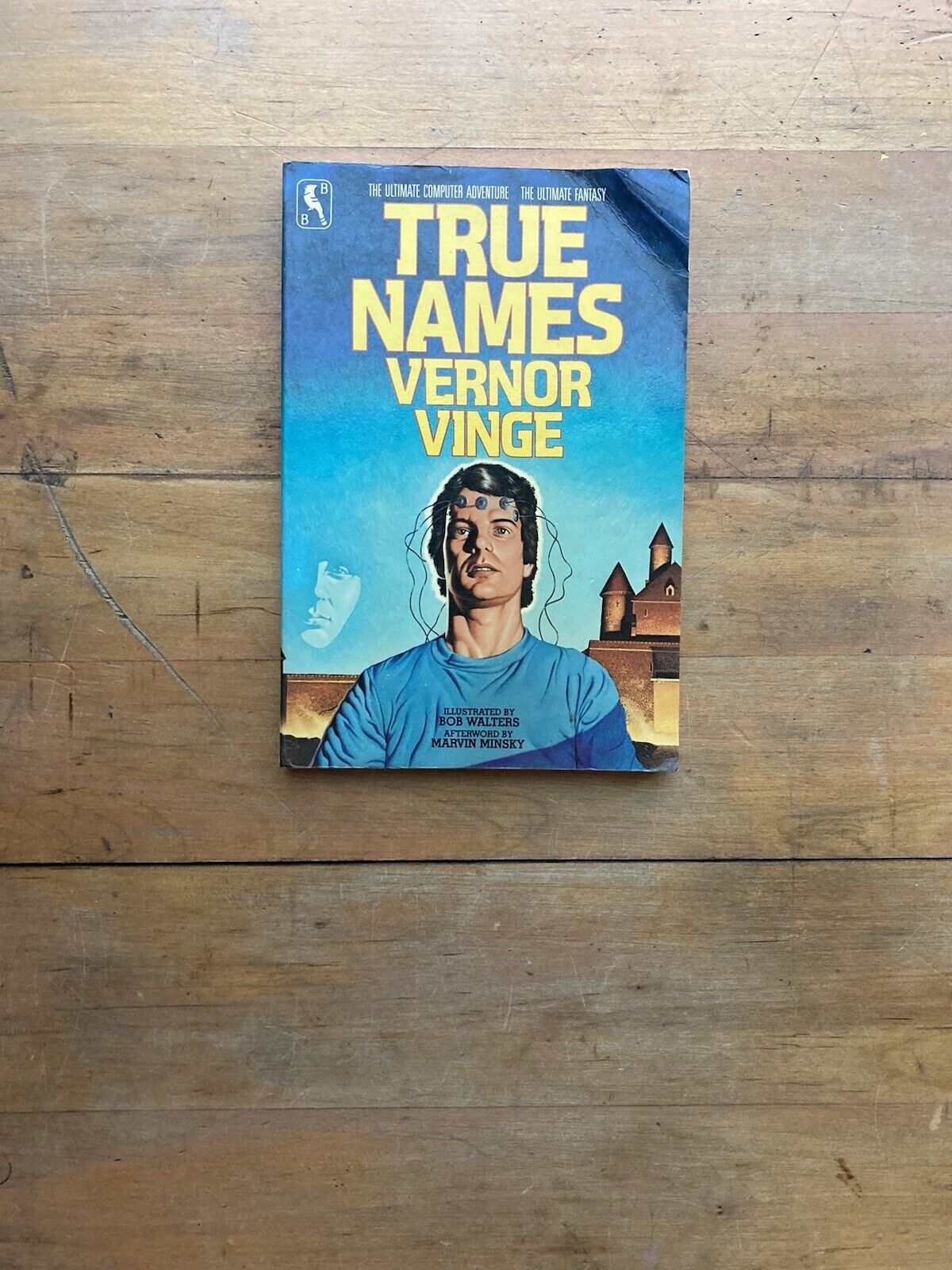 True Names by Vernor Vinge. Bluejay Books. 1984.