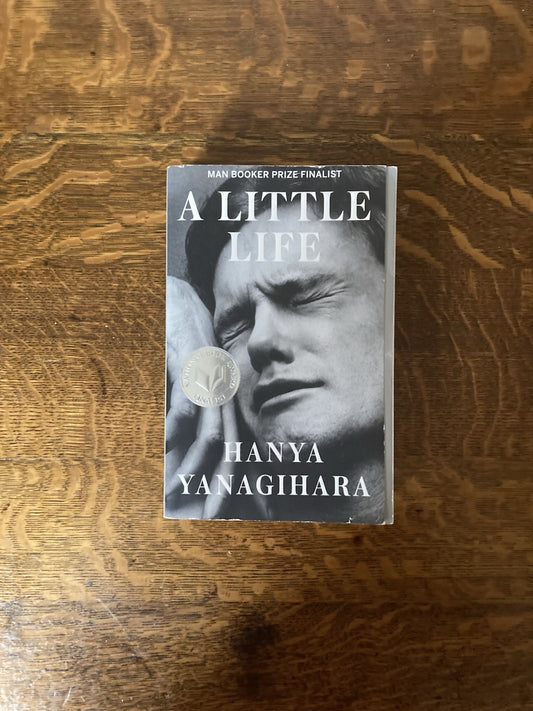 A Little Life by Hanya Yanagihara. Anchor Books. Later printing.