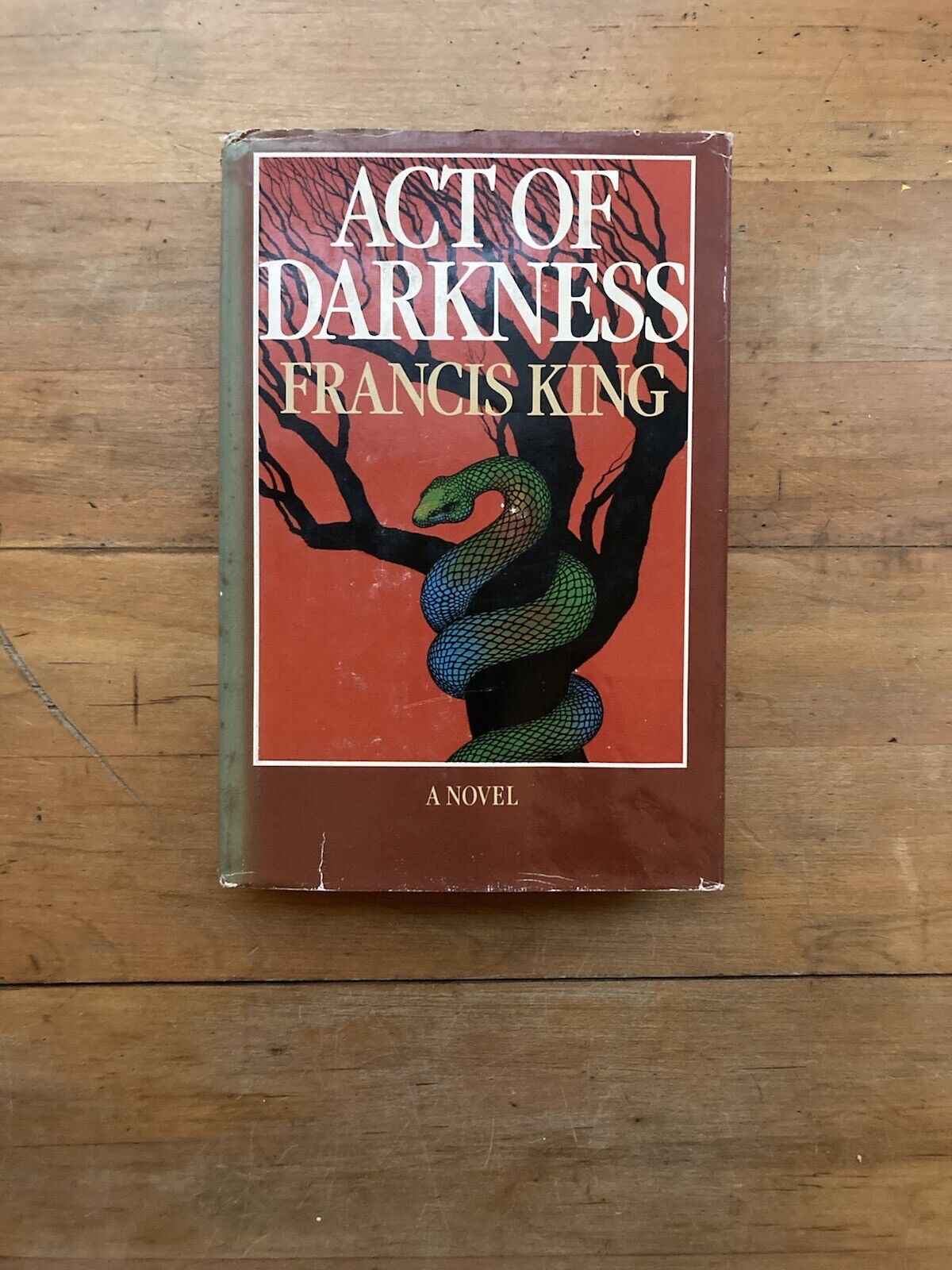 Act of Darkness by Francis King. Little, Brown and Company. 1983.