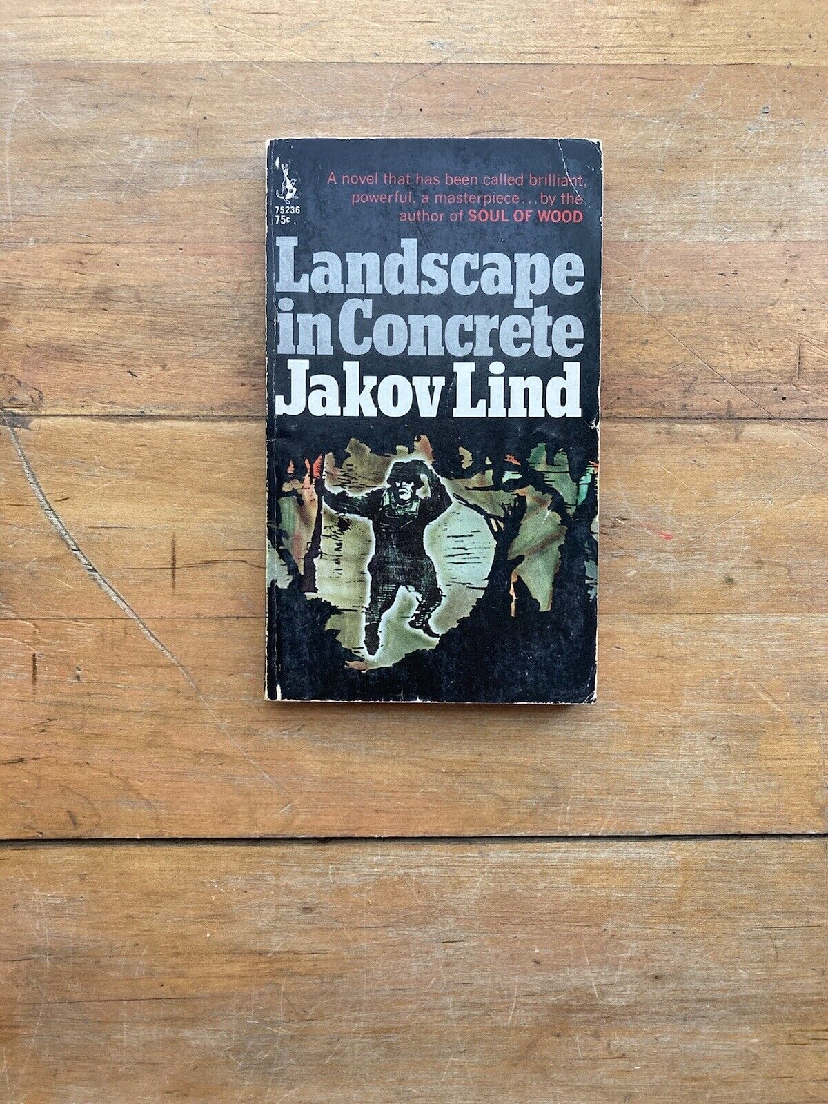 Landscape in Concrete by Jakov Lind. Pocket Books. 1968.