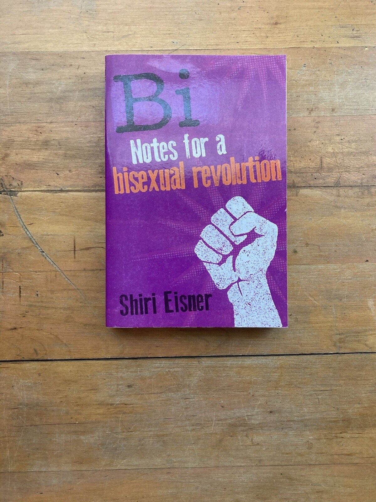 Bi: Notes for a Bisexual Revolution by Shiri Eisner. Seal Press. 2013.