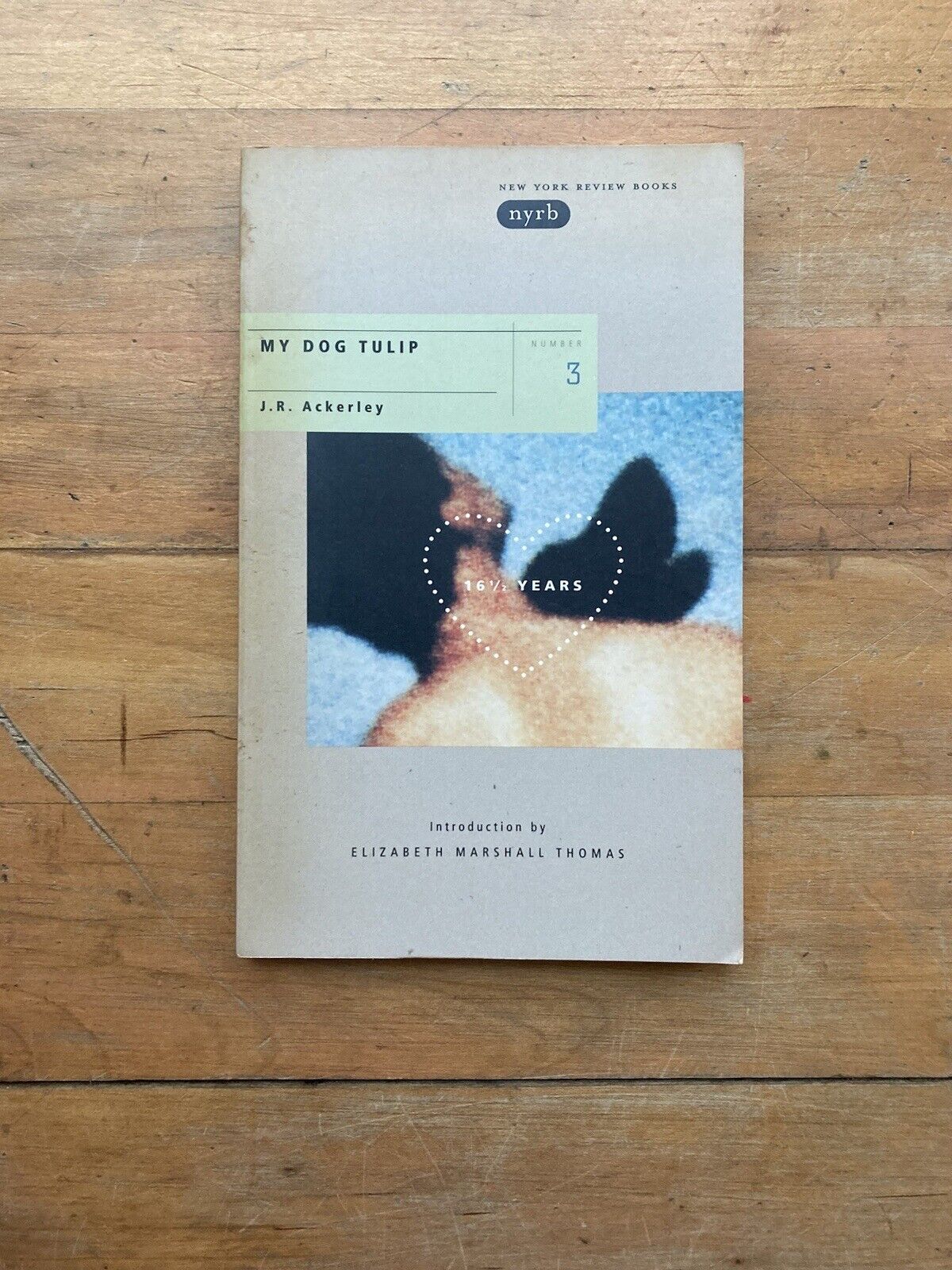 My Dog Tulip by J.R. Ackerley. New York Review Books. 1999.