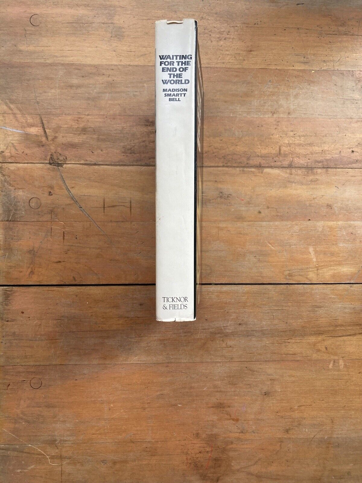 Waiting for the End of the World by Madison Smartt Bell. Ticknor & Fields. 1985.