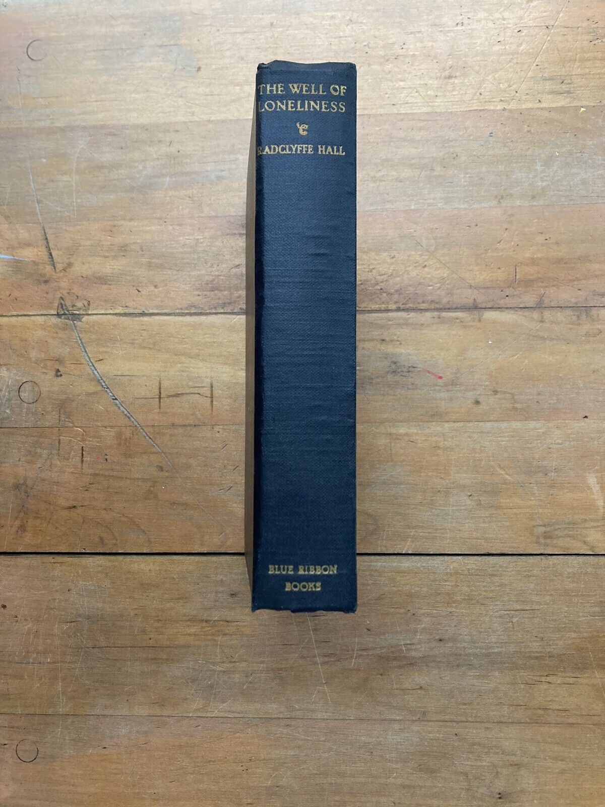 The Well of Loneliness Radclyffe Hall Blue Ribbon Books/ Sun Dial Press 1928