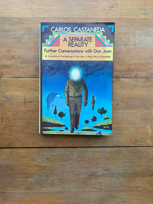 A Separate Reality by Carlos Castaneda. A Touchstone Book.