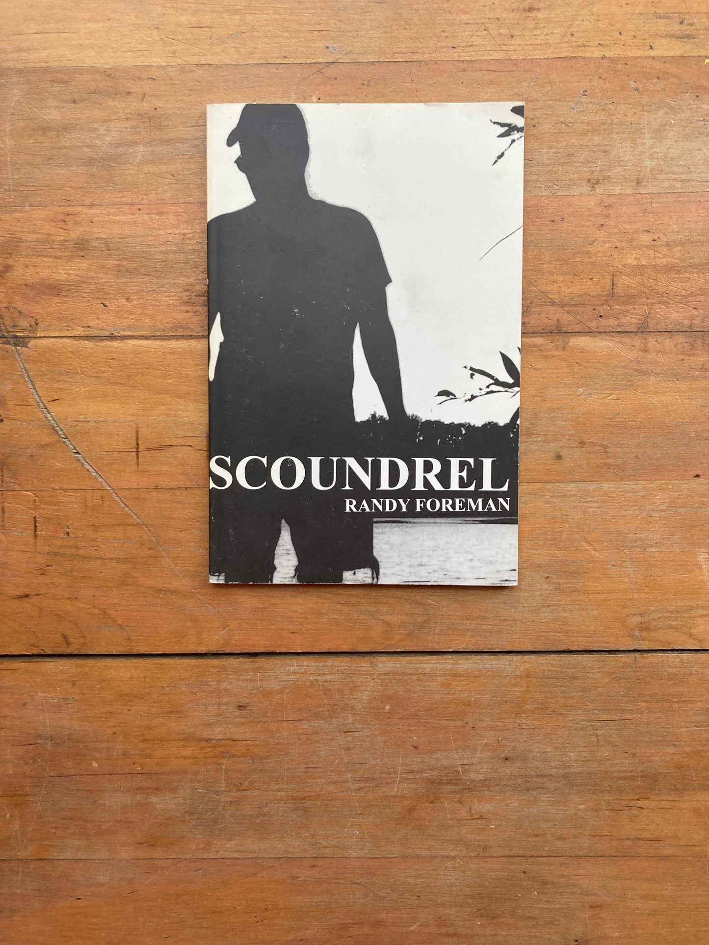 The Sea As The Sky/ Scoundrel by Randy Foreman. LO & BEHOLD! 2009.