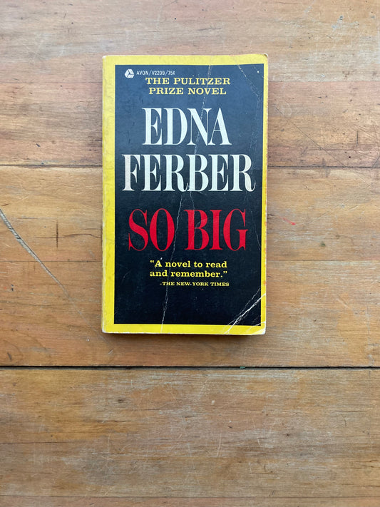 So Big by Edna Ferber. Avon Books. 1967.