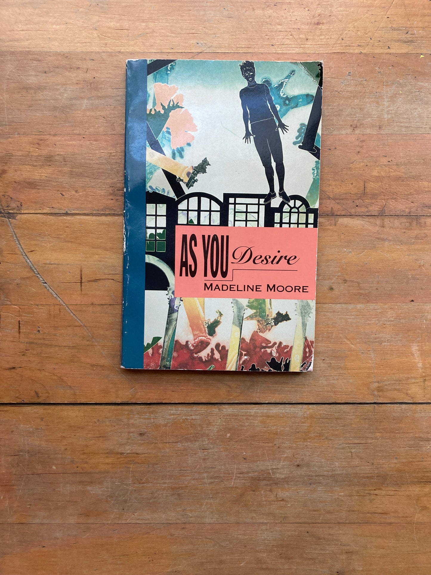 As You Desire by Madeline More. Spinsters Ink. 1993.